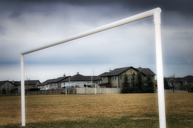 的默契度仍 的默契度仍