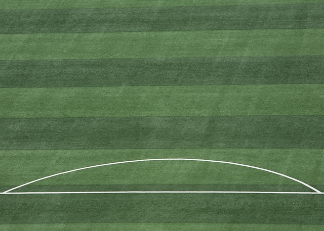 和比赛战略 和比赛战略