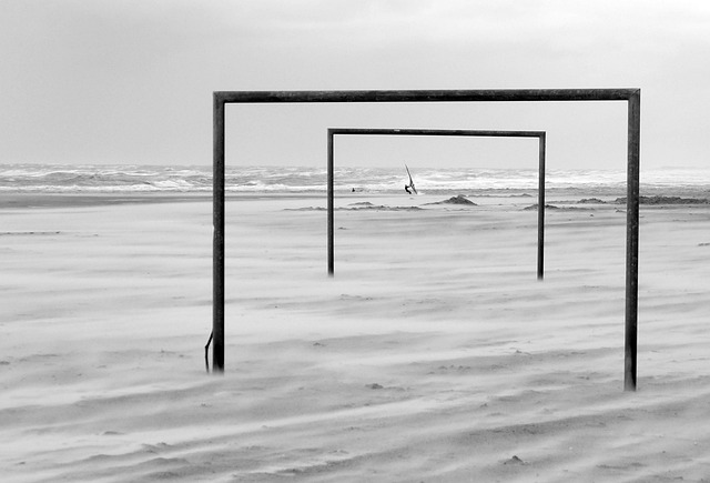 新显得尤为 新显得尤为