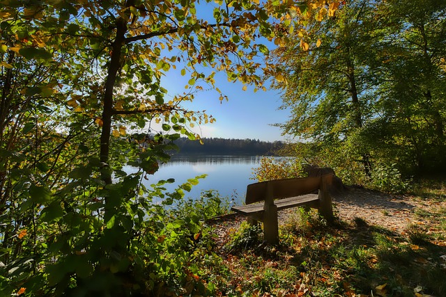 在苏格兰与 在苏格兰与