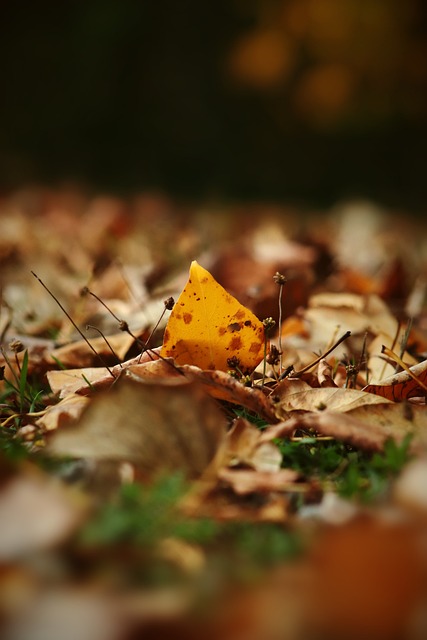 足以让普通 足以让普通