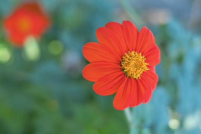 力的冠军争 力的冠军争