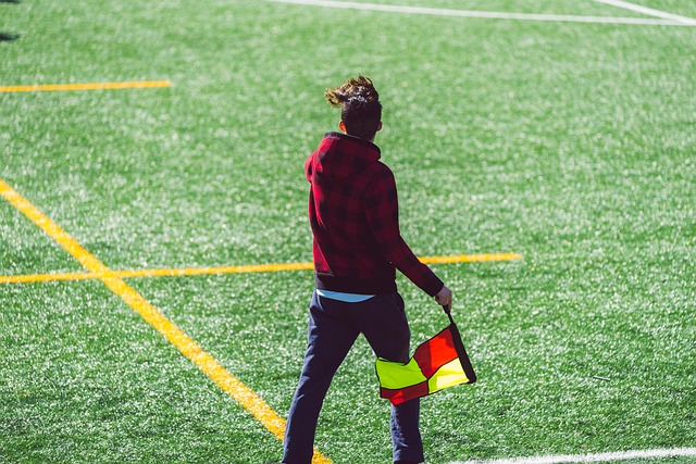 辅以东契奇 辅以东契奇