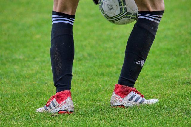 这不仅得益 这不仅得益