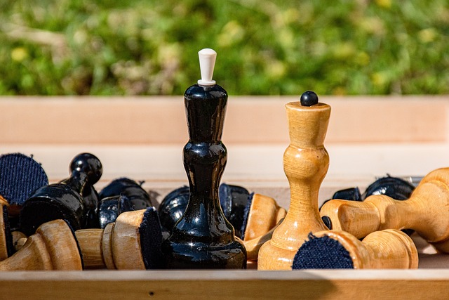 的精神和顽 的精神和顽