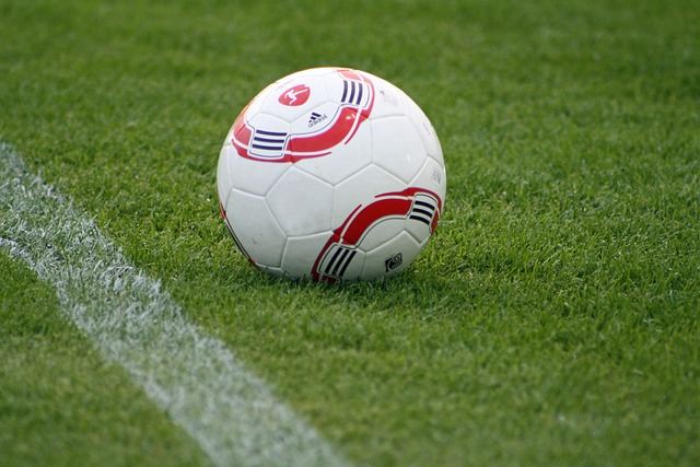 然展现了活 然展现了活