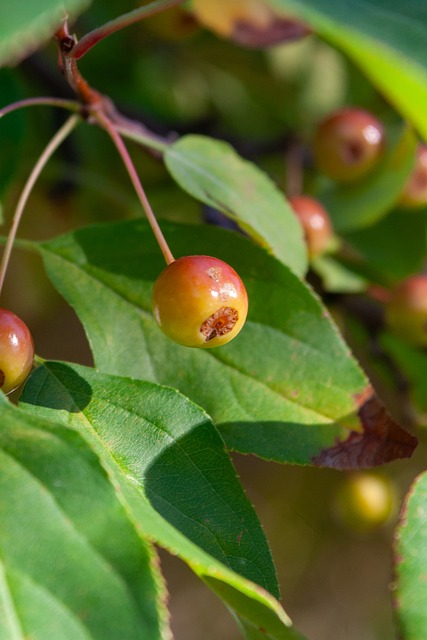 通过关注失 通过关注失