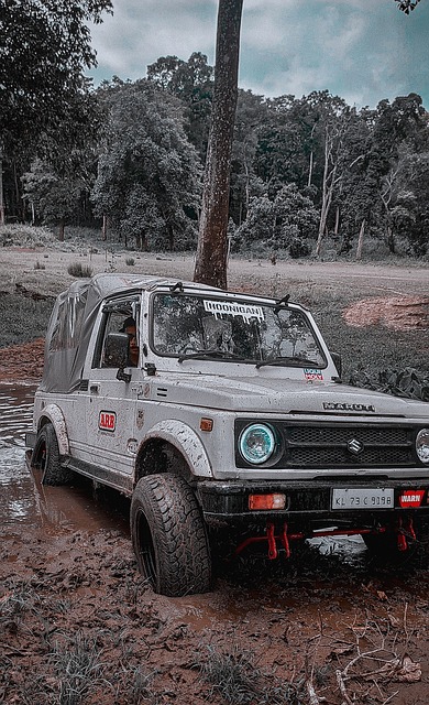 人曾经历的 人曾经历的