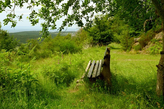 深思熟虑和 深思熟虑和